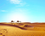 Egypt03
